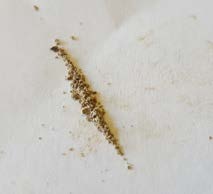 Heroin reference photo