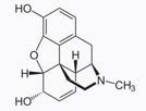 Morphine reference photo