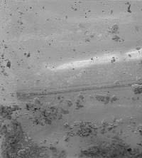 AM-2201 reference photo