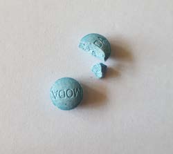 Modafiendz