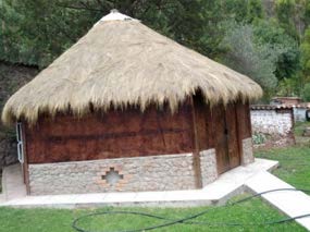 Ayahuasca