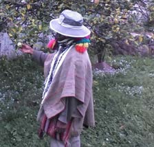 Ayahuasca reference photo