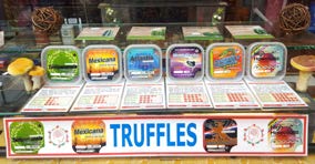 Magic Truffles