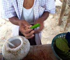 Betel Nut