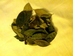 Coca