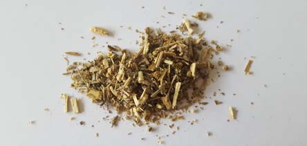 Wormwood