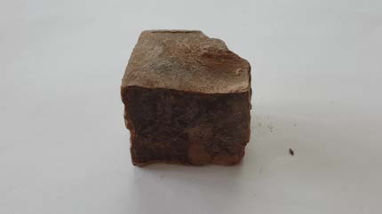 Cacao