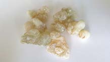 Frankincense reference photo