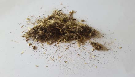 Imphepho