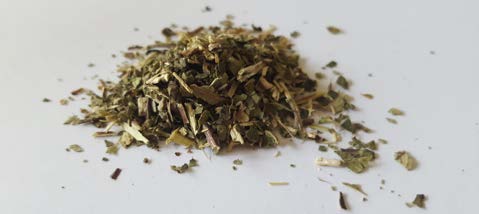 Skullcap
