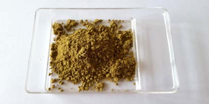 Ginkgo